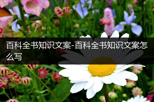 百科全书知识文案-百科全书知识文案怎么写