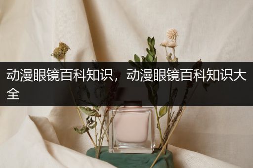 动漫眼镜百科知识，动漫眼镜百科知识大全