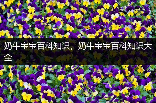 奶牛宝宝百科知识，奶牛宝宝百科知识大全