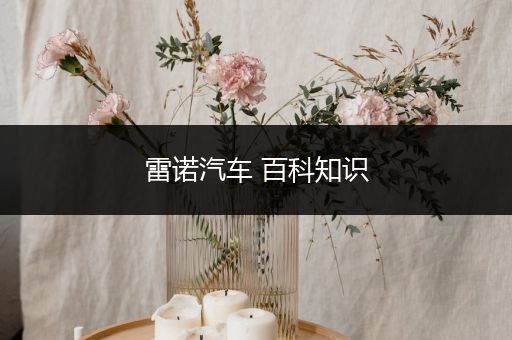 雷诺汽车 百科知识