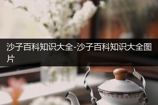 沙子百科知识大全-沙子百科知识大全图片