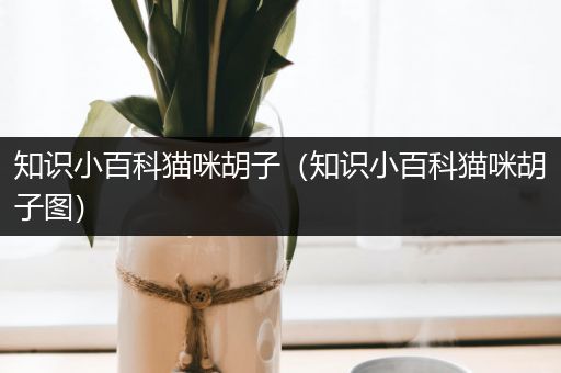 知识小百科猫咪胡子（知识小百科猫咪胡子图）