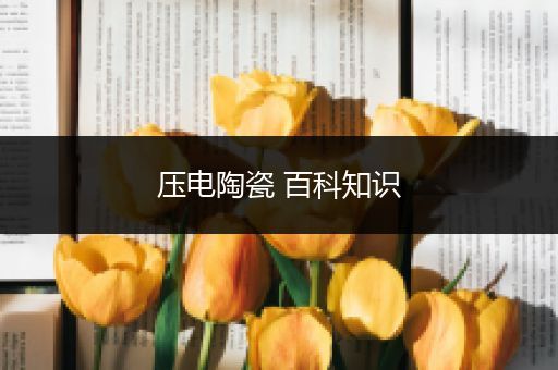 压电陶瓷 百科知识