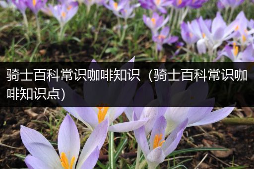 骑士百科常识咖啡知识（骑士百科常识咖啡知识点）