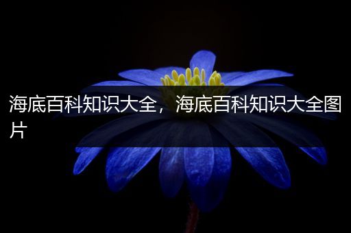 海底百科知识大全，海底百科知识大全图片