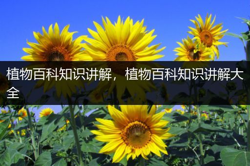 植物百科知识讲解，植物百科知识讲解大全