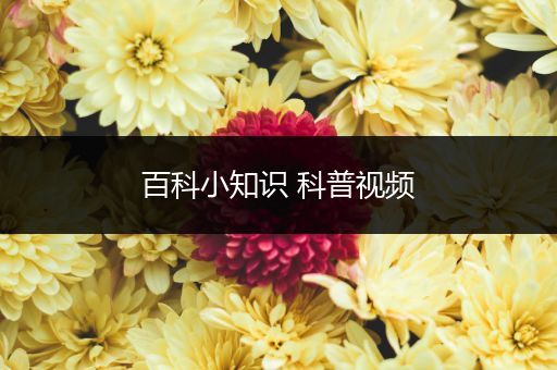 百科小知识 科普视频