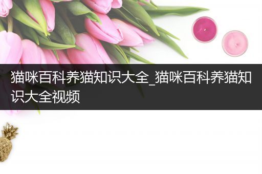 猫咪百科养猫知识大全_猫咪百科养猫知识大全视频