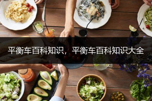 平衡车百科知识，平衡车百科知识大全