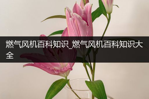 燃气风机百科知识_燃气风机百科知识大全