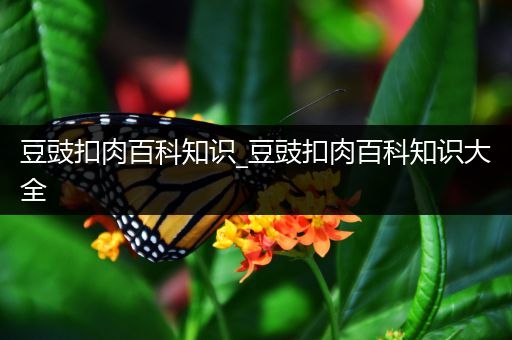 豆豉扣肉百科知识_豆豉扣肉百科知识大全