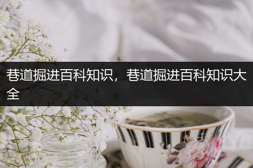 巷道掘进百科知识，巷道掘进百科知识大全