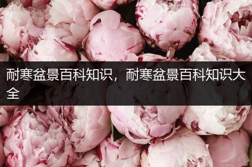 耐寒盆景百科知识，耐寒盆景百科知识大全