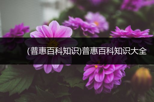 （普惠百科知识)普惠百科知识大全