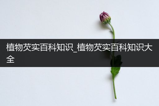 植物芡实百科知识_植物芡实百科知识大全