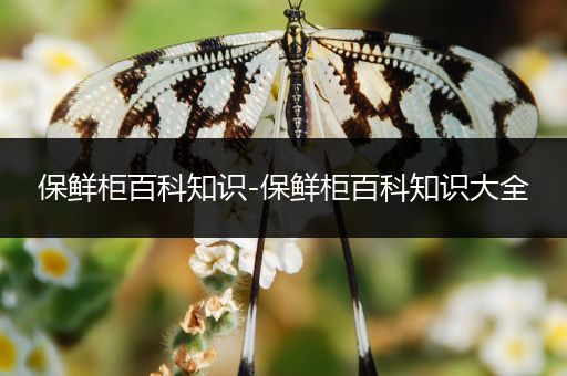 保鲜柜百科知识-保鲜柜百科知识大全
