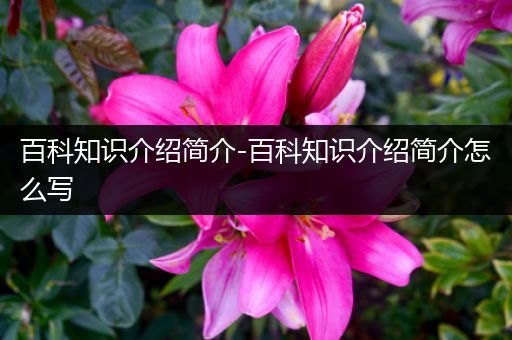 百科知识介绍简介-百科知识介绍简介怎么写