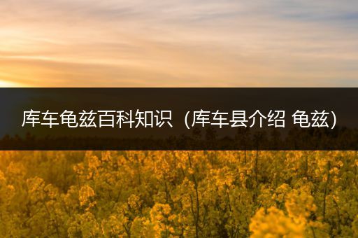 库车龟兹百科知识（库车县介绍 龟兹）