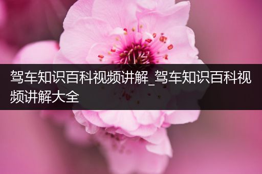 驾车知识百科视频讲解_驾车知识百科视频讲解大全