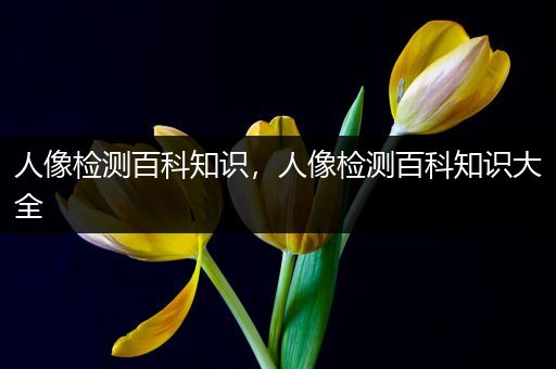 人像检测百科知识，人像检测百科知识大全