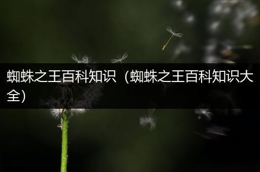 蜘蛛之王百科知识（蜘蛛之王百科知识大全）