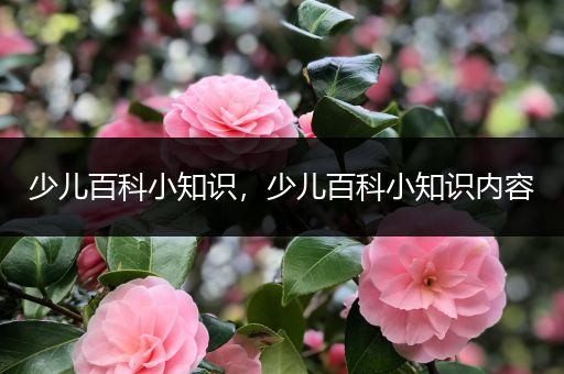 少儿百科小知识，少儿百科小知识内容