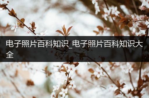 电子照片百科知识_电子照片百科知识大全