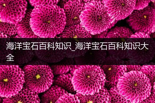 海洋宝石百科知识_海洋宝石百科知识大全
