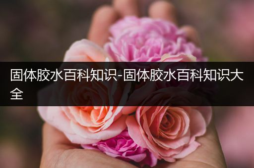 固体胶水百科知识-固体胶水百科知识大全