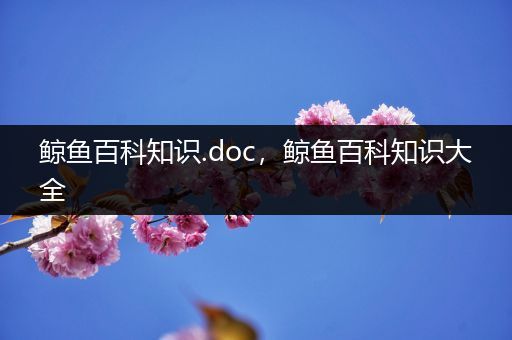 鲸鱼百科知识.doc，鲸鱼百科知识大全