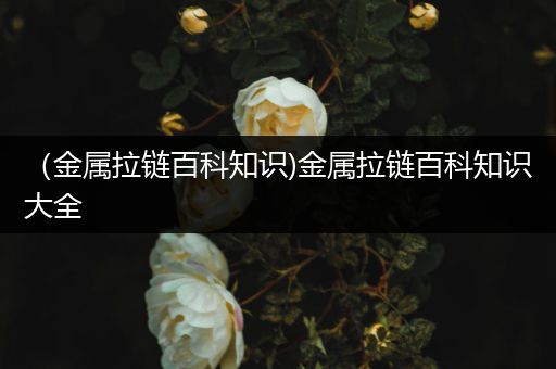 （金属拉链百科知识)金属拉链百科知识大全