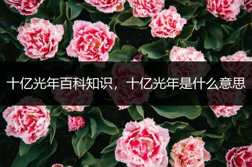 十亿光年百科知识，十亿光年是什么意思