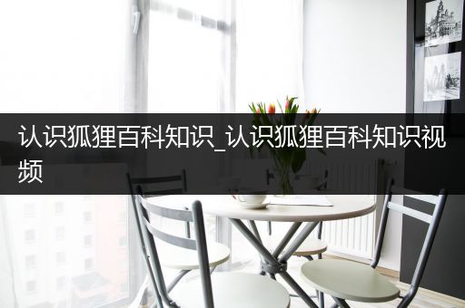 认识狐狸百科知识_认识狐狸百科知识视频