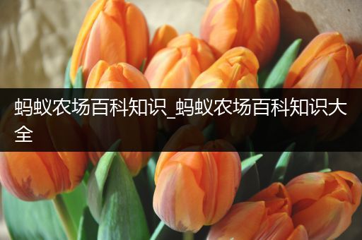 蚂蚁农场百科知识_蚂蚁农场百科知识大全