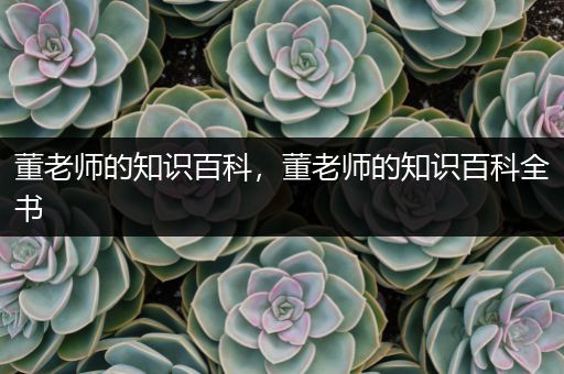 董老师的知识百科，董老师的知识百科全书