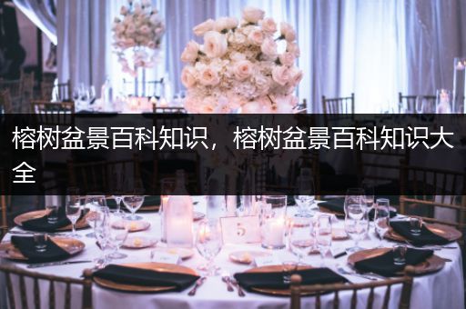 榕树盆景百科知识，榕树盆景百科知识大全