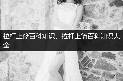 拉杆上篮百科知识，拉杆上篮百科知识大全