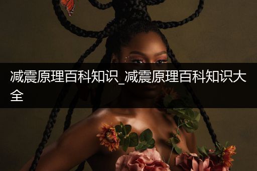 减震原理百科知识_减震原理百科知识大全