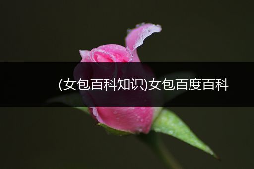 （女包百科知识)女包百度百科