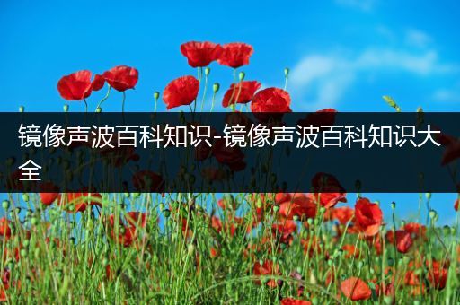 镜像声波百科知识-镜像声波百科知识大全