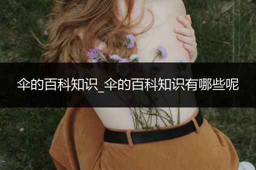 伞的百科知识_伞的百科知识有哪些呢