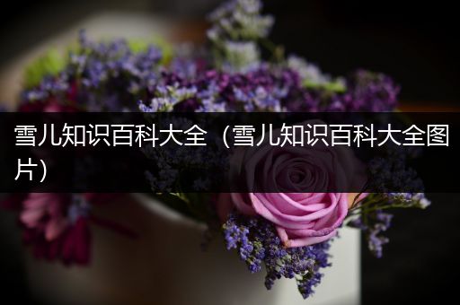 雪儿知识百科大全（雪儿知识百科大全图片）