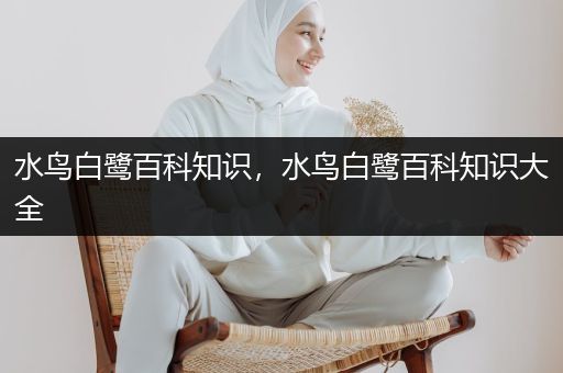 水鸟白鹭百科知识，水鸟白鹭百科知识大全