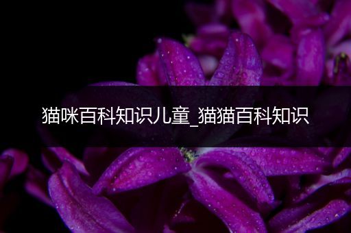 猫咪百科知识儿童_猫猫百科知识