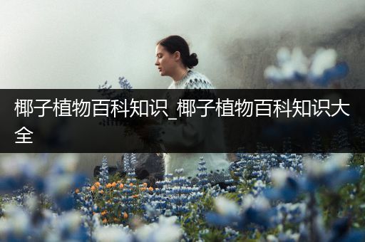椰子植物百科知识_椰子植物百科知识大全