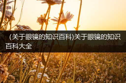 （关于眼镜的知识百科)关于眼镜的知识百科大全