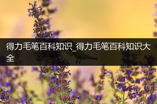 得力毛笔百科知识_得力毛笔百科知识大全