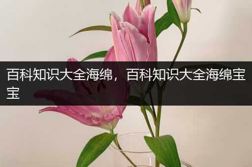 百科知识大全海绵，百科知识大全海绵宝宝