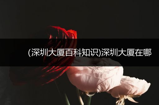 （深圳大厦百科知识)深圳大厦在哪