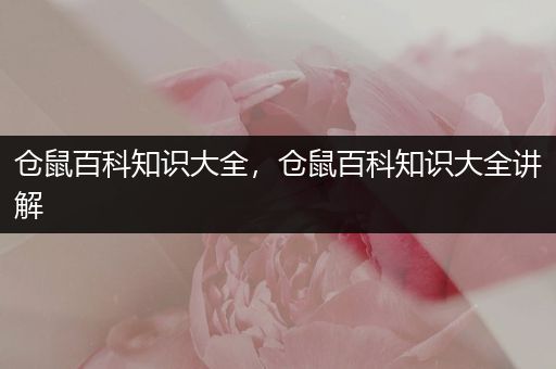 仓鼠百科知识大全，仓鼠百科知识大全讲解